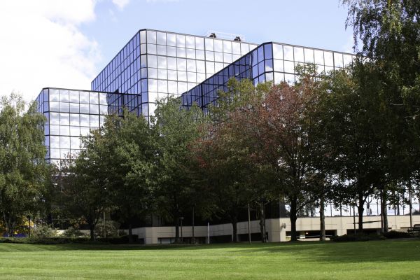 Commercial Tree Trimming in Wichita Falls